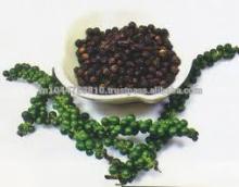  Vietnam   black   pepper  exporter Grade 580 GL