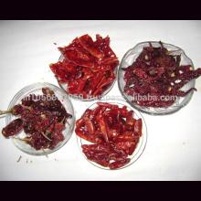 Chilli from India