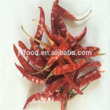 new crop best quality hot red chili peppers