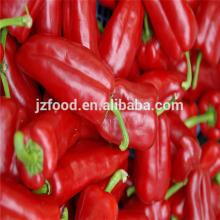new crop best quality fresh  hot   red   chili  peppers