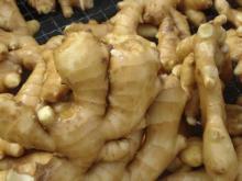 wholesale ginger price