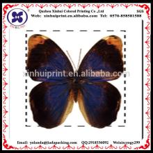 Xinhui custom butterfly temporary tattoo sticker for chewing gum use