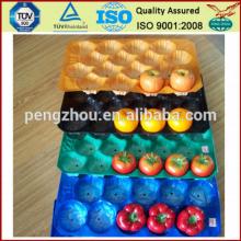fruit Nested Plastic Tray