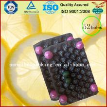 colorful fresh fruit plastic tray