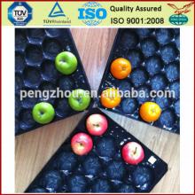 Plastic fresh Fruit packaging Tray