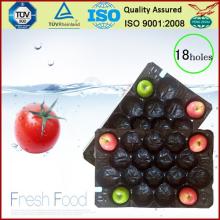 pp packing fruit tray mould
