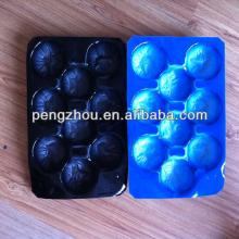 Polypropylene PP blister fruit tray