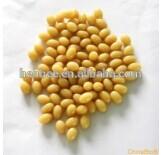 top quality Royal Jelly soft capsule