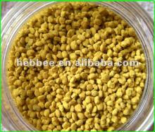 100% Rape Flower Pollen
