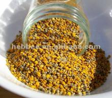 2014 Popular Organic Bee Pollen for Bees