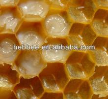 fresh  queen  royal  jelly  for sale