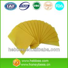 2012 Top Seller Honeycomb Bee Foundation Sheet