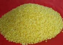 beeswax propolis