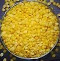 Natural Filtered Yellow Bees wax for bee comb foundation making