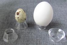 Reversible Cone Acrylic Egg Holder, Ball Stand, Sphere Display