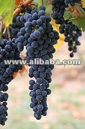 Red grape juice concentrate
