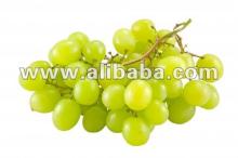  white   grape   juice   concentrate 