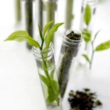 TeaSmile Gift Pack Tea Tube (Four Season Oolong, Sencha, Green Tea Macha Powder)