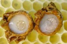 High quality Royal jelly