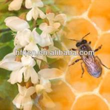 Healthy Acacia Honey