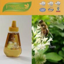 beauty food basewood honey bulk price