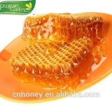 bee honey importers