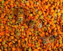 Mixed Bee Pollen