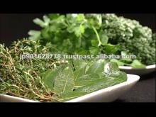 Liquid seasoning / spray bottle / kelp seaweed