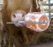Animal Feed Rich Mineral Rock salt Licks