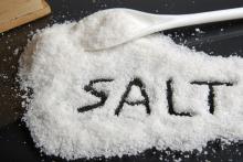 Hanotex  Bulk   Sea   Salt 