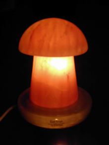  Mushroom  Salt Lamp