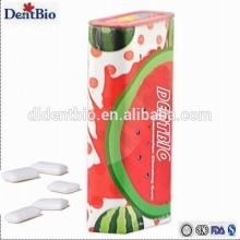 Watermelon sugarfree chewing gum packed in steel bottle