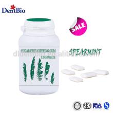 Sugar free chewing gum xylitol chewing gum