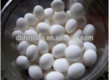 Hot selling tablet pc manufacturer DIRECT PRICEsweet candy gummy candy