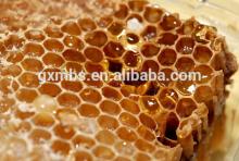 Export  100  nature  bee   honey 