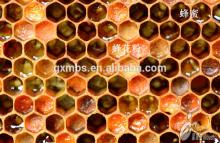 Professional wholesale medicinal honey for sale