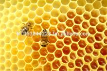 Hot sale 100% natural bee raw honey