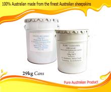 Stock, Golden Bee Clover/Blackberry & Ground Flora Honey, Pure Australian