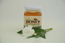 Raw  Organic   Rosemary  Honey