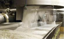 100% Refined White Sugar Icumsa 45