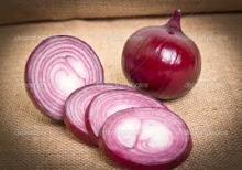 Onion Exporters