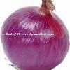 fresh peeled red onion