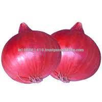 Export Fresh Onion