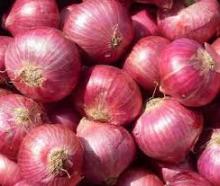 Fresh Onions for sales