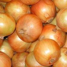 Fresh Onion