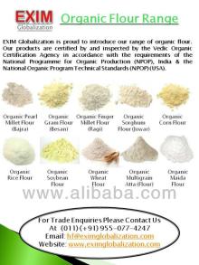 Organic Soybean Flour