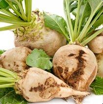 Refined Beet Sugar ICUMSA 45 EXW