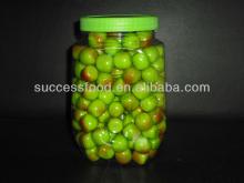 5g  Apple   shape  bubble gum