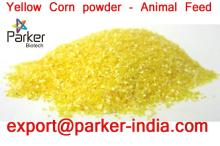 Yellow Corn