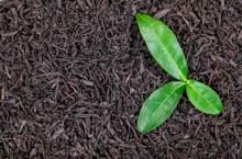 Instant Black Tea Powder / Black Tea Powder / Instant Black Tea Extract